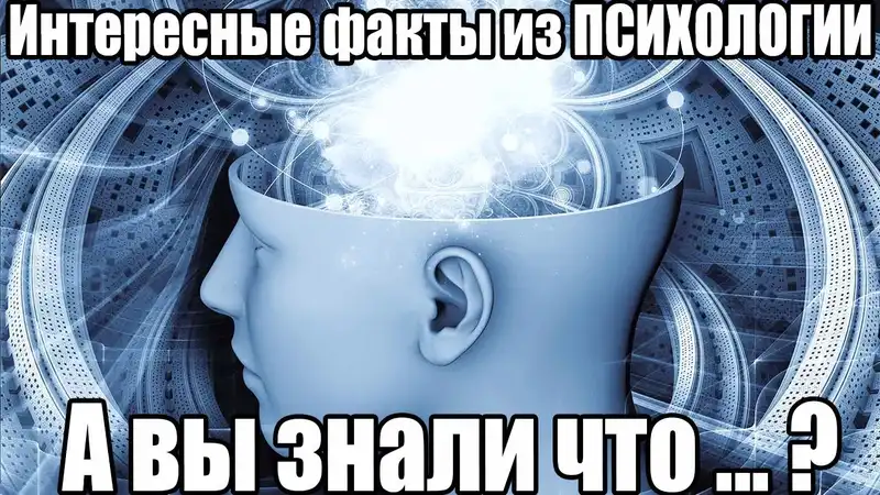 Удивительные факты о психологии и поведении людей / Необычные факты о странностях животного мира